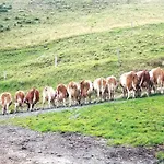 Herzogbauer דירה