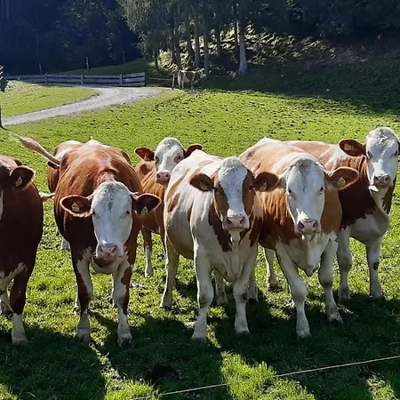 Apartmán Herzogbauer