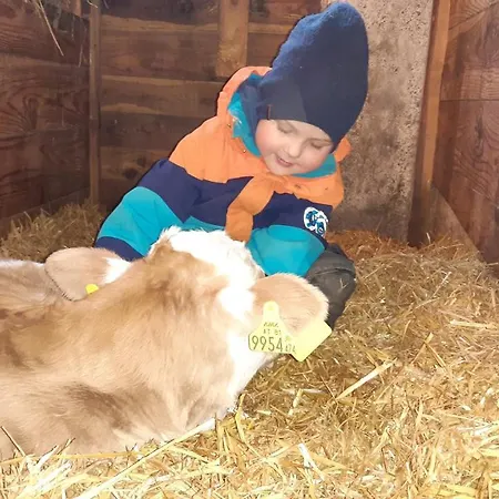 Apartmán Herzogbauer *