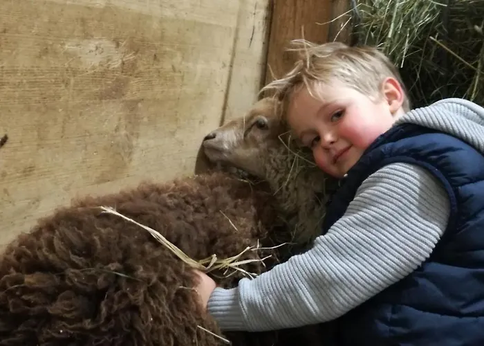 Herzogbauer Appartamento